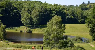 Centre equestre domaine de muret Centre equestre domaine de muret