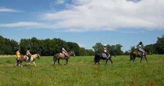 Centre équestre Cheval Pot'Agé