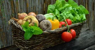 congerdesign-vegetables-752153