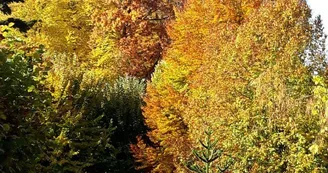 parc en automne_39 parc en automne_39