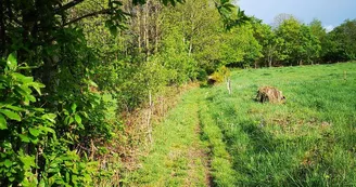 chemin de balade proche de la maison_48