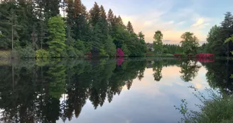 Château de Bort à Saint Priest Taurion en Haute-Vienne (Nouvelle Aquitaine) - Etang_54