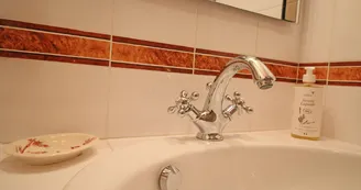Château de Bort à Saint Priest Taurion en Haute-Vienne (Nouvelle Aquitaine)- Salle de bains chambre des îles_23 Château de Bort à Saint Priest Taurion en Haute-Vienne (Nouvelle Aquitaine)- Salle de bains chambre des îles_23