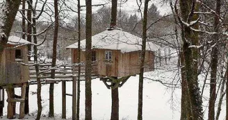 Cabane du "Vieux Huraud" à Saint Sylvestre en Haute-Vienne (Nouvelle Aquitaine)_45