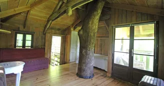 Cabane du "Vieux Huraud" à Saint Sylvestre en Haute-Vienne (Nouvelle Aquitaine) - petite cabane_18