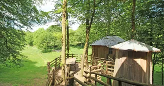 Cabane du "Vieux Huraud" à Saint Sylvestre en Haute-Vienne (Nouvelle Aquitaine)_38