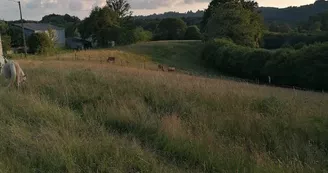 Meublé de tourisme de la Chevêche_8