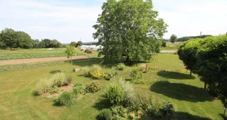 Vue sur le jardin maraicher_2