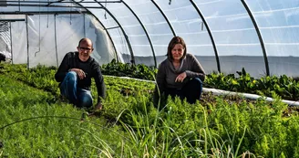 En plein travail dans les jardins. Visite possible des jardins en notre présence. On échangera avec vous pour notre plus grand plaisir notre métier-passion._26