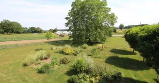 Vue sur le jardin maraicher_2