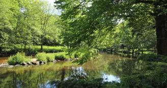 Gîte "3 ânes et un moulin" à Bessines sur Gartempe en Haute-Vienne (Nouvelle Aquitaine)_7