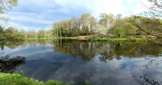 Gîte "La Rode" à Compreignac en Haute-Vienne en Nouvelle Aquitaine_34