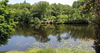 Gite "Dominant l'Etang" à Compreignac en Haute-Vienne (Limousin en Nouvelle Aquitaine)_17