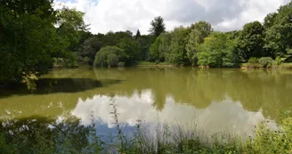 Gîte de La Faye à Compreignac en Haute-Vienne (Limousin en Nouvelle Aquitaine) - L'étang_24