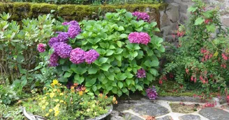 Gîte de La Faye à Compreignac en Haute-Vienne (Limousin en Nouvelle Aquitaine) - Fleurs en été_28