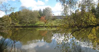 Gîte de La Faye à Compreignac en Haute-Vienne (Limousin en Nouvelle Aquitaine) - L'étang_23