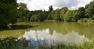 Gîte de La Faye à Compreignac en Haute-Vienne (Limousin en Nouvelle Aquitaine) - L'étang_24