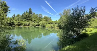 Gîte de Massauvas à Compreignac en Haute-Vienne (Nouvelle Aquitaine)_29