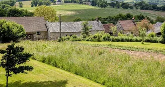 Gite Chalet des Apiculteurs au Montheil commune de Folles en Haute-Vienne_14