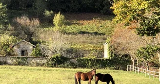 L'orangerie du Vignau, Domaine du Vignau, gîte à La Jonchère Saint Maurice_4