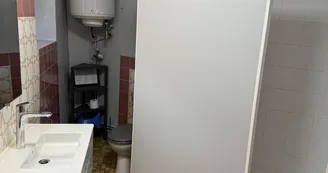 salle de bains avec WC et douche_29