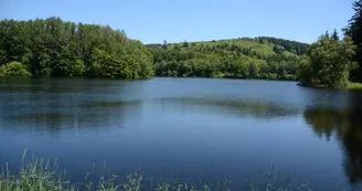 Etang de La Crouzille_72 Etang de La Crouzille_72