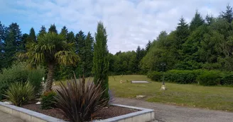IMG-20240723-WA0006