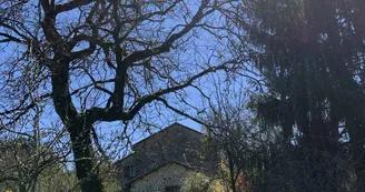 vacances-au-lac-de-saint-pardoux-gite-14-personnes-jardin-vakantiehuis-aan-een-meer-frankrijk-tuin-01 vacances-au-lac-de-saint-pardoux-gite-14-personnes-jardin-vakantiehuis-aan-een-meer-frankrijk-tuin-01