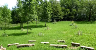 BESSINES Rymauri