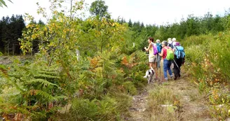 Chemin de randonnée