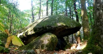 Dolmen de la Lieue_1 Dolmen de la Lieue_1