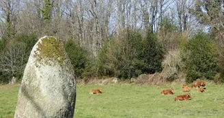 Menhir des Fichades_1