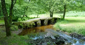 Pont médiéval dit romain_1
