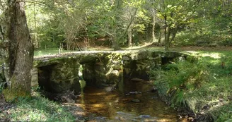 Pont médiéval dit romain_2
