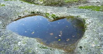 Coeur de géant