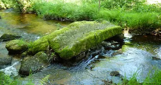 chemin des moines de grandmont en Limousin_2