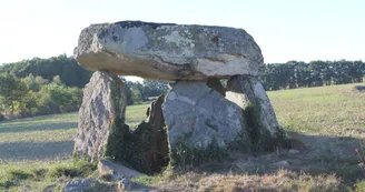 Sentier du bois des fées_2