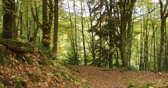 Sentier des carrières_2