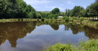DomaineMuret_Etang DomaineMuret_Etang