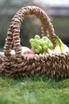 Aire de pique-nique